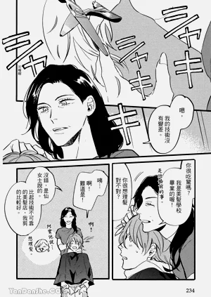 第221頁圖