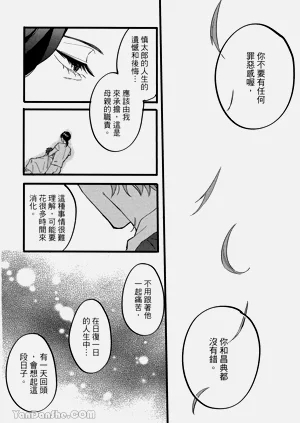 第223頁圖
