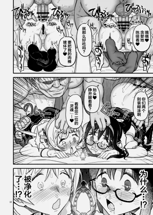 第32页图