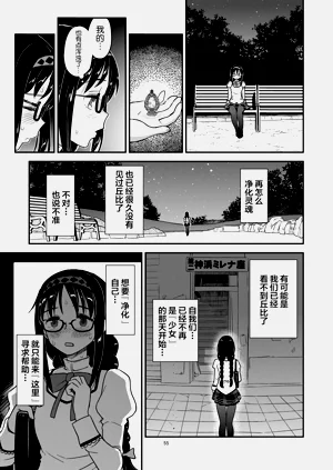 第55页图