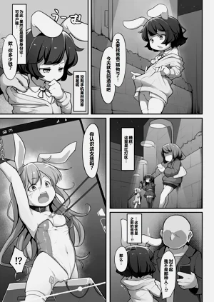 第4页图