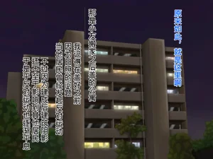 第95頁圖