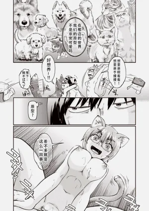 第44页图