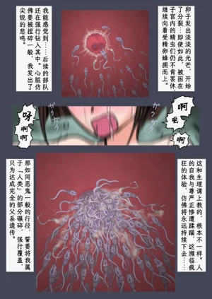 第43頁圖