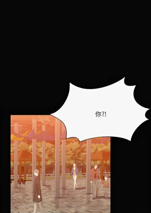 第231頁圖