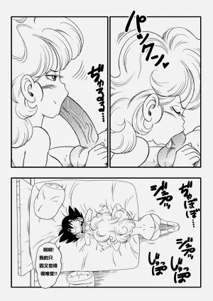 第21页图