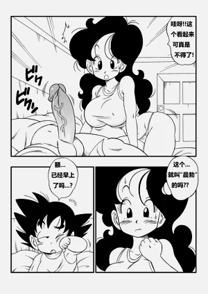 第4页图