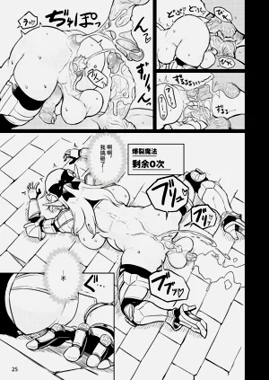 第25頁圖