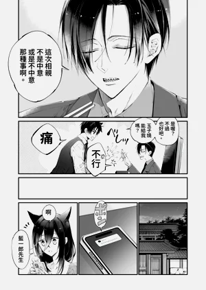 第85頁圖