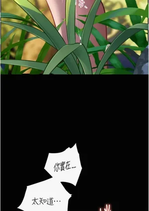 第100頁圖