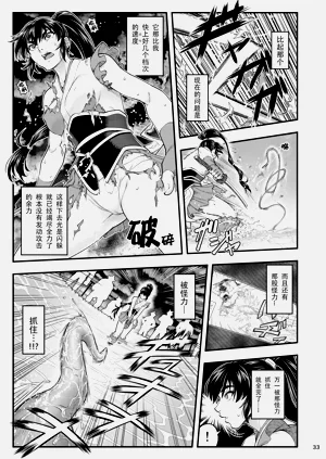 第33页图