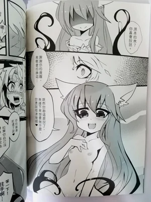 第11页图