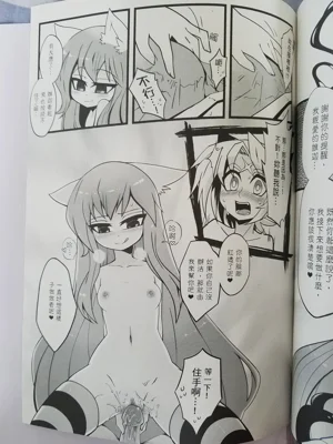 第12页图