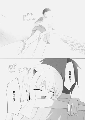 第33頁圖