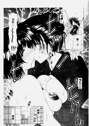 第81頁圖