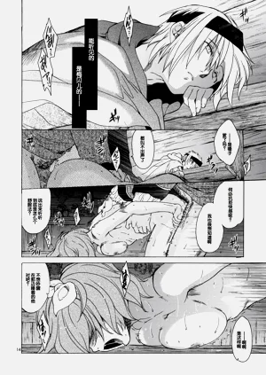 第13頁圖