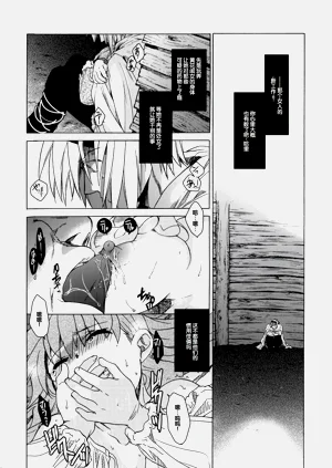 第33頁圖