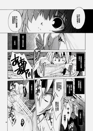 第39頁圖