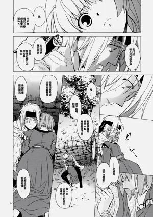 第21頁圖