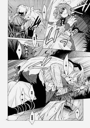 第23頁圖