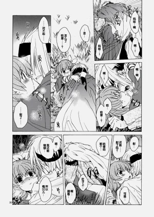 第29頁圖