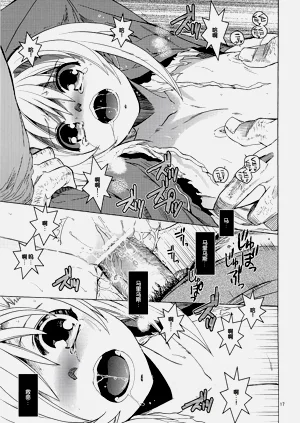 第16頁圖