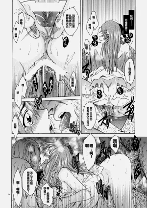第13頁圖