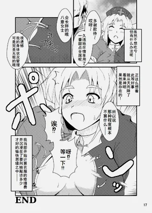第17页图