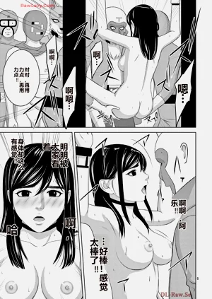 第493页图