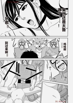 第529页图