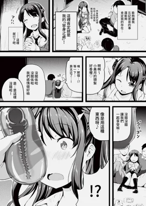 第256頁圖