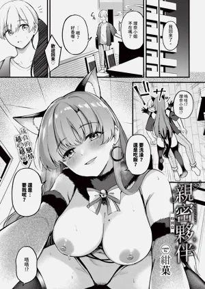 第217頁圖