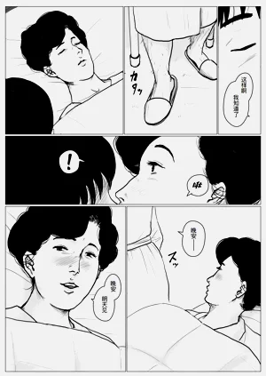 第33页图