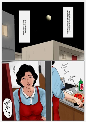 第33页图
