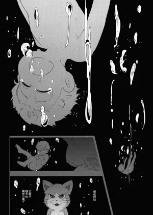 第81頁圖