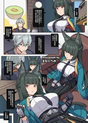第17页图