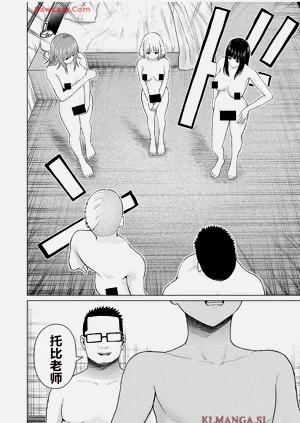 第381頁圖
