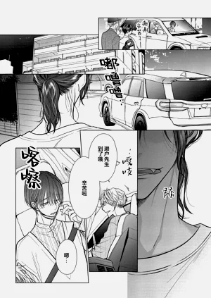第102頁圖
