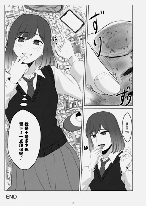 第33页图