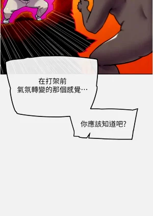 第219頁圖