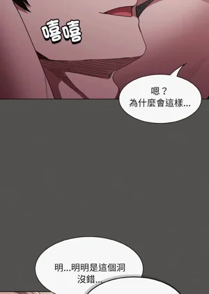 第81頁圖