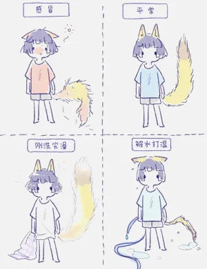 第51頁圖