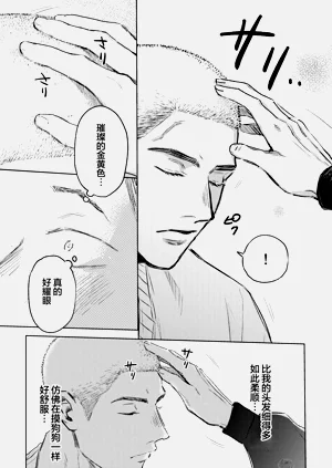第29页图