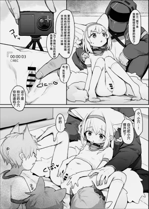 第8页图