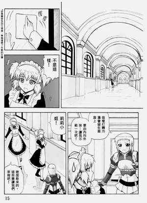 第221頁圖