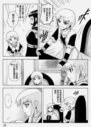 第300頁圖