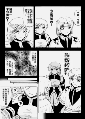 第393頁圖