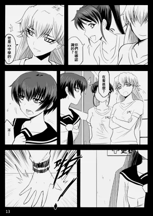 第233页图