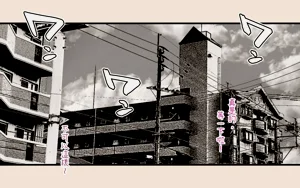 第39页图