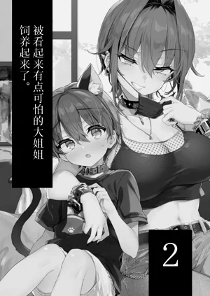 第2页图